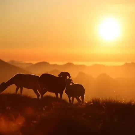 Apartment T2 Pour 6 Pers, Parking Inclus, Face Aux Telecabines - Fr-1-401-19 *